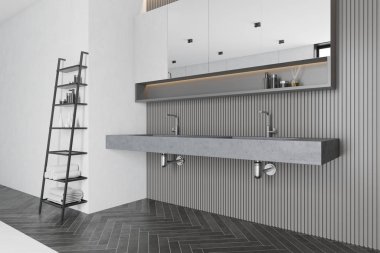 Çift lavabo ile gri banyo köşesi