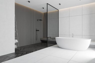 Gri ve beyaz banyo köşesi, küvet ve duş