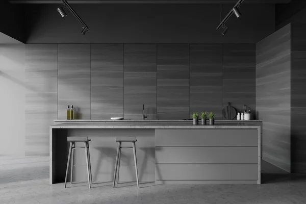 Interior Cozinha Elegante Com Paredes Cinza Madeira Piso Concreto Bancadas — Fotografia de Stock