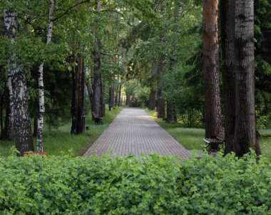 Parkta yürüyüş için yürüme yolu