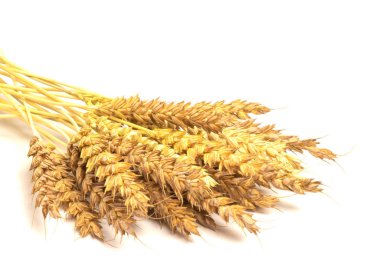 Beyaz arkaplanda çavdar viskisi.