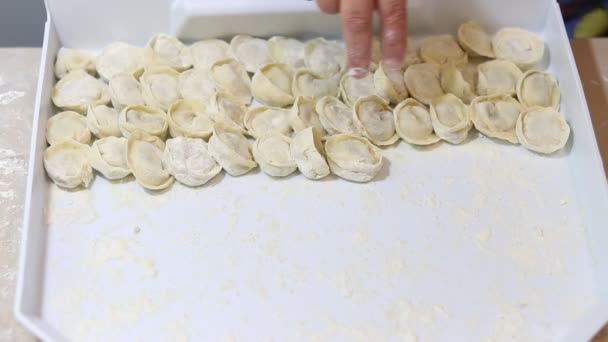 食品コンセプトビデオ シェフが餃子を作る グルジア料理 閉じ準備した餃子をトレイに置きます — ストック動画