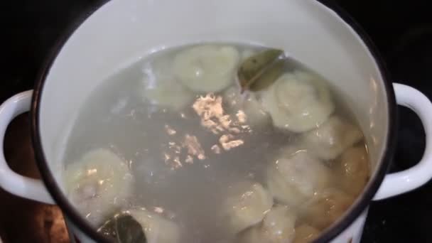 Cocinar Albóndigas Una Olla Agua Hirviendo — Vídeo de stock