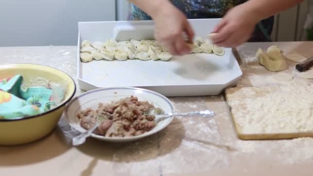 고기로 만두를 부엌에서는 조각을 으깨어 만두를 요리합니다 집에서 만두를 요리하는 — 비디오
