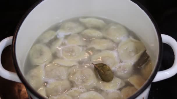 Cook Dumplings Pot Boiling Water — Stock Video