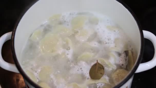 Cook dumplings in a pot in boiling water — Stock Footage Cook Dumplings Pot Boiling Water Stock Video
