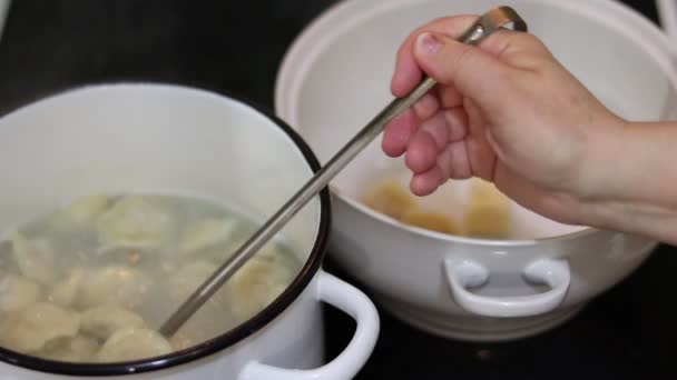 煮饺子饺子锅里的饺子 — 图库视频影像
