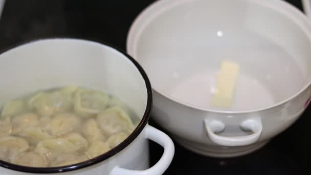 Cook Dumplings Dumplings Dumplings Pan — Stock Video