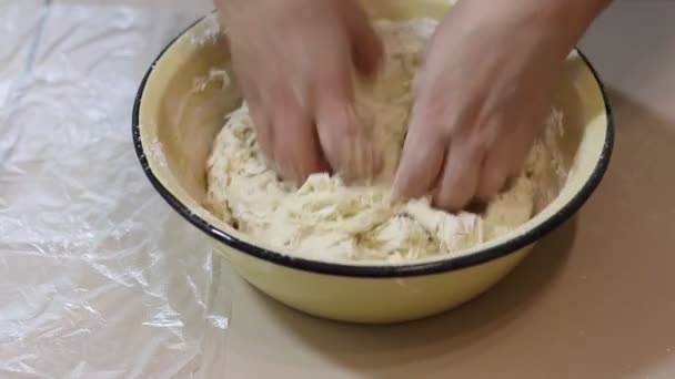 Knead Dough Knead Dough Your Hands Knead Dough Your Hands — Stock Video