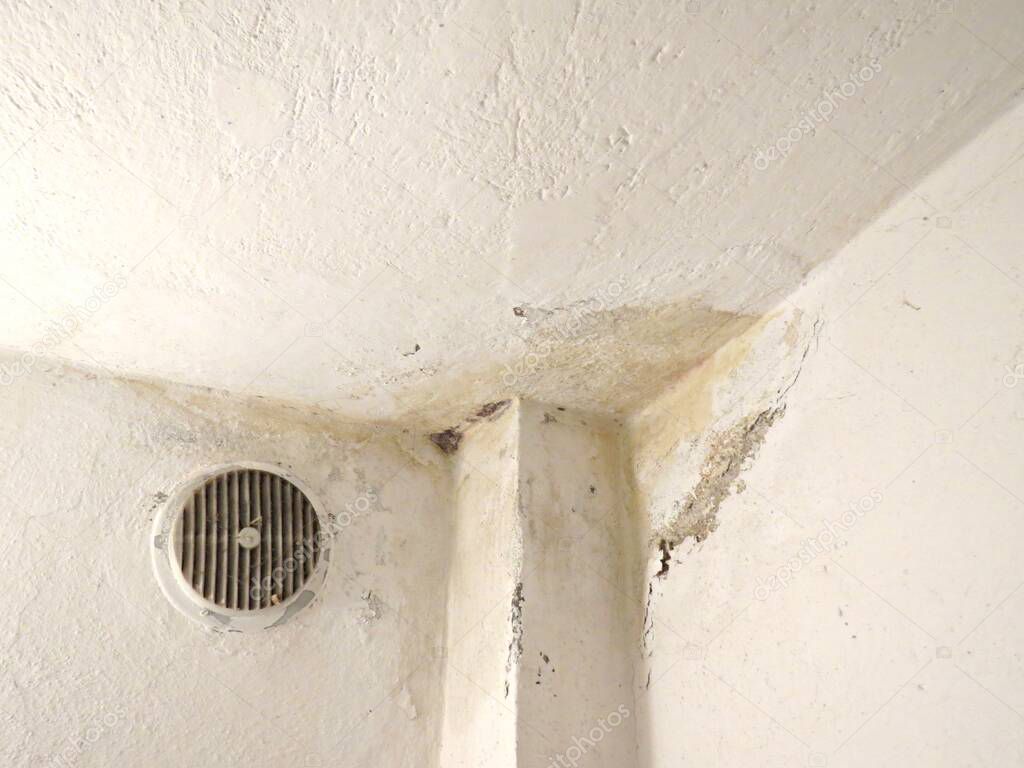 Stain on the ceiling from leaking water. Damage on fungus mold weathered wall. Mold growth on old white wall surface.