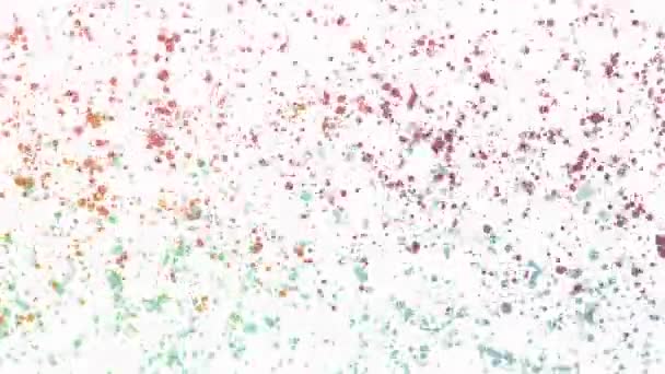 Un montón de círculos multicolores de diferentes tamaños brillan sobre fondo blanco . — Vídeo de stock