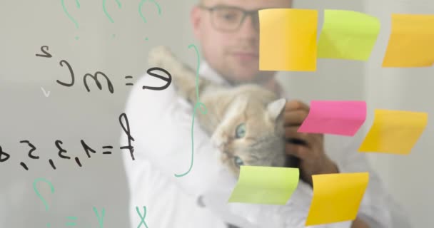 Man scientist with cat is working with notes and formula on transparent screen. — Stock Video