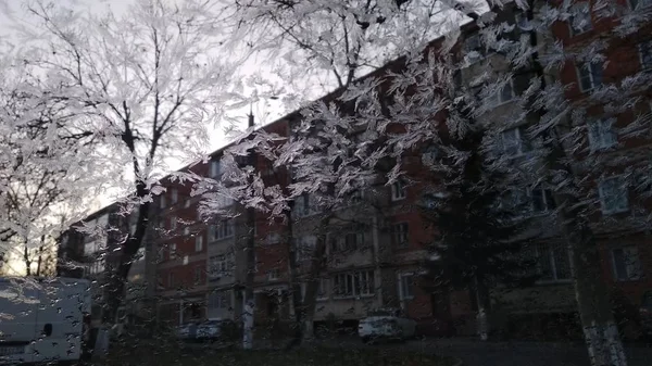 Frostmuster Auf Der Windschutzscheibe Eines Autos — Stockfoto