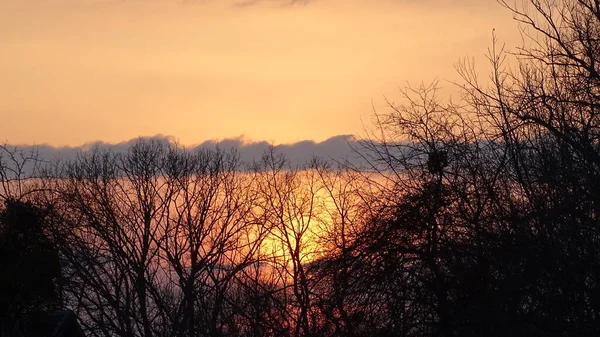 Der Sonnenuntergang Leuchtendem Orange Wird Von Den Kronen Der Bäume — Stockfoto