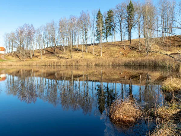 Höst Landskap Med Färgglada Träd Vattnets Kant Och Underbara Reflektioner — Stockfoto