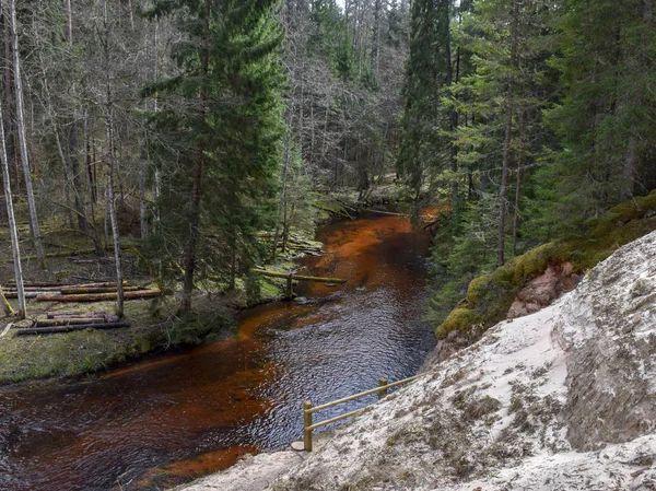 Landskap Med Liten Och Snabb Flod Solig Vårdag Långsam Exponering — Stockfoto