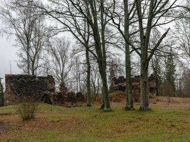  Eski şato harabeleri, yağmurlu ve sisli bir sonbahar günü