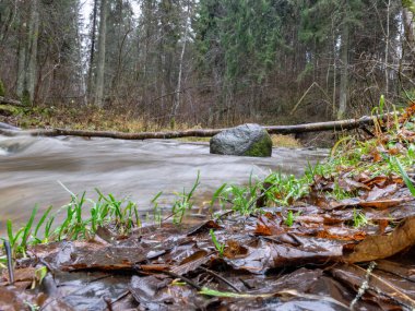 Küçük bir derede uzun süre su bulunması, sonbahar ormanlarında suyun hareket etmesi.