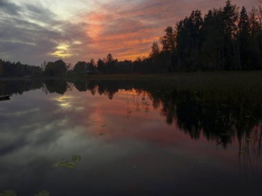 Sabah saatlerinde güzel sisli bir manzara.