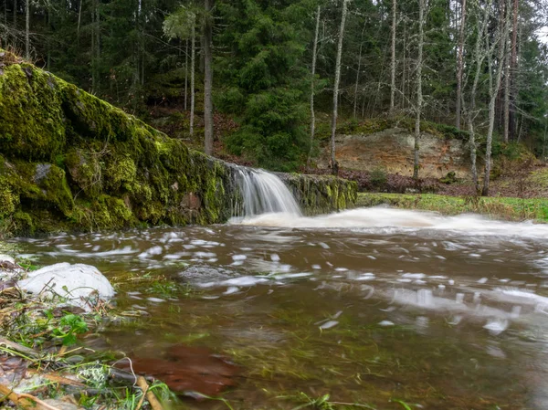 Long Exposure Water Small Stream Water Motion Autumn Forest — Stock Photo, Image