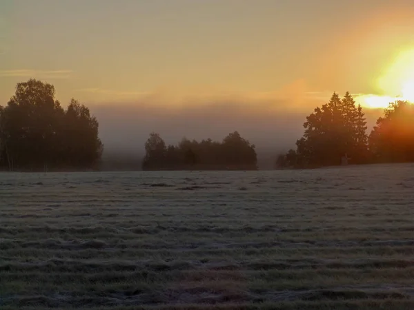 Beautiful, colorful landscape of a foggy lake during sunrise. Misty dawn in the lake. Bright sun over lake.