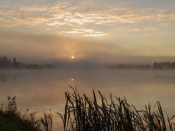 Beautiful, colorful landscape of a foggy lake during sunrise. Misty dawn in the lake. Bright sun over lake.