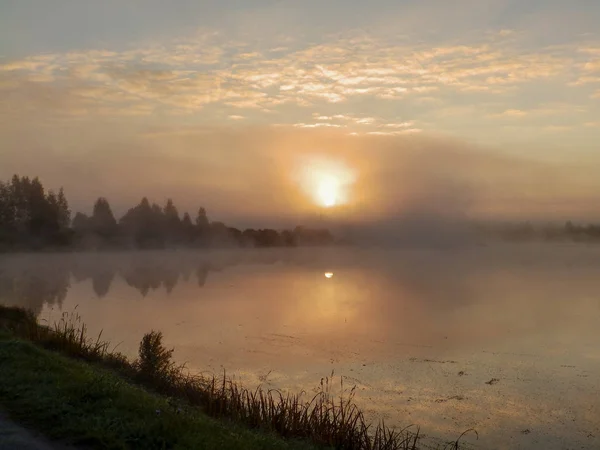 Beautiful, colorful landscape of a foggy lake during sunrise. Misty dawn in the lake. Bright sun over lake.