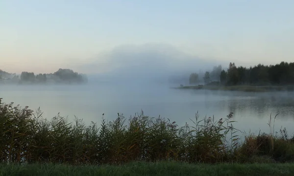 Schöne Neblige Landschaft Den Morgenstunden — Stockfoto