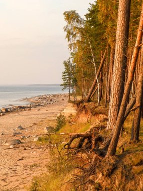 Sahilde kumtaşı kayalıkları olan manzara, suda güzel yansımalar.