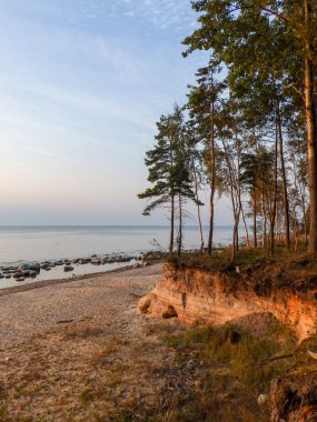 Sahilde kumtaşı kayalıkları olan manzara, suda güzel yansımalar.