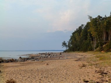 Sahilde kumtaşı kayalıkları olan manzara, suda güzel yansımalar.