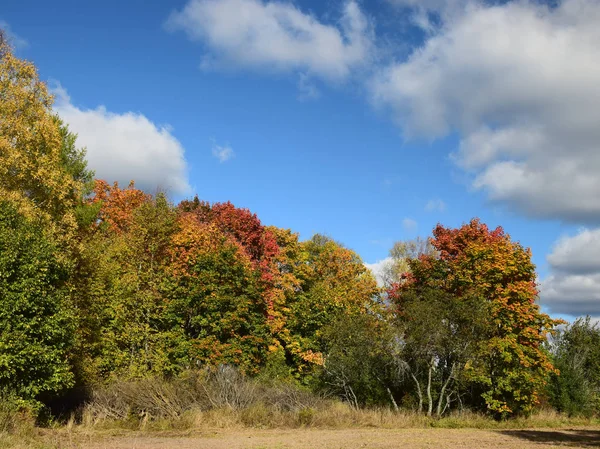 Herbstlandschaft Mit Bunten Bäumen — Stockfoto