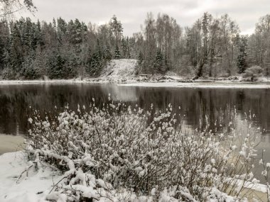 Nehrin kıyısında karla kaplı ağaçlarla kaplı bir manzara.