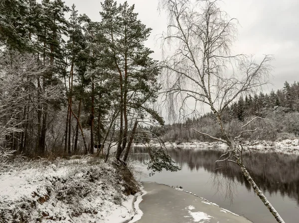 Paisagem Com Árvores Cobertas Neve Nas Margens Rio — Fotografia de Stock
