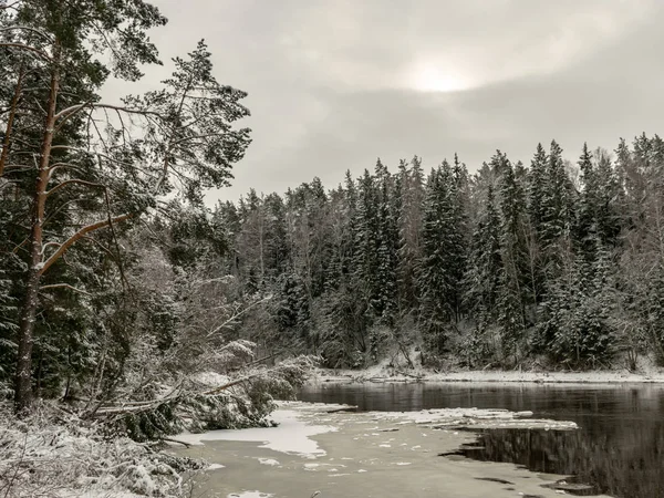 Landscape Snow Covered Trees Banks River — Stock Photo, Image