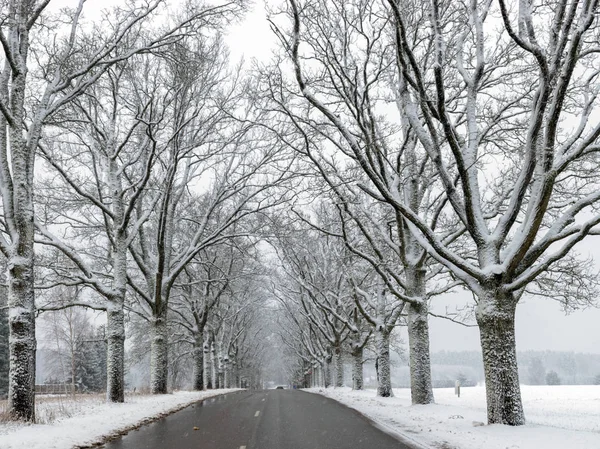Karlı bir ara sokakta güzel bir kış filmi.
