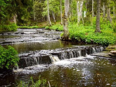  Nehirde hareket bulanıklığı olan küçük şelaleli (çağlayan) manzara.