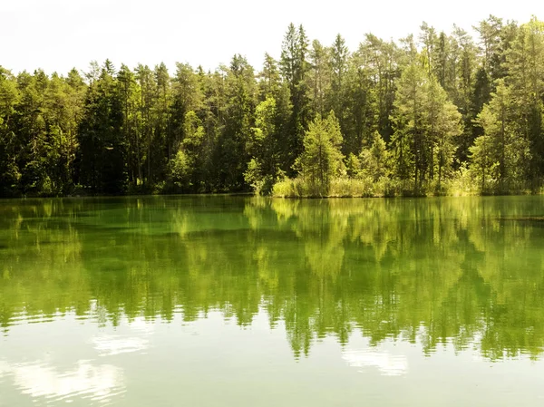 Landscape Bright Green Lake Colorful Trees Beautiful Summer Day Wonderful — Stock Photo, Image