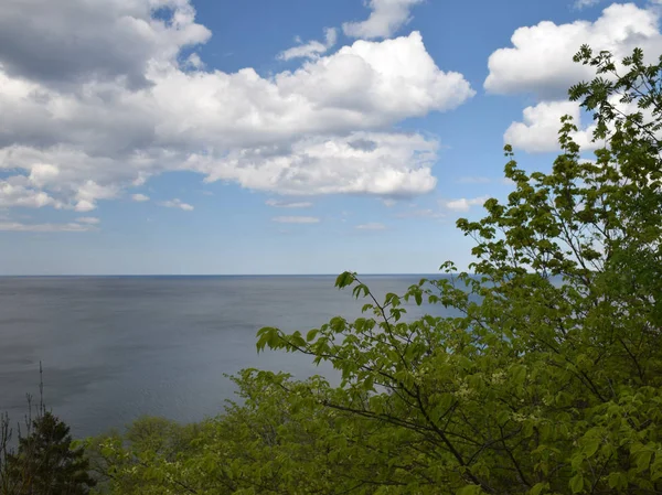 Utsikt Över Havet Från Stenig Kust Med Kustväxter Förgrunden — Stockfoto
