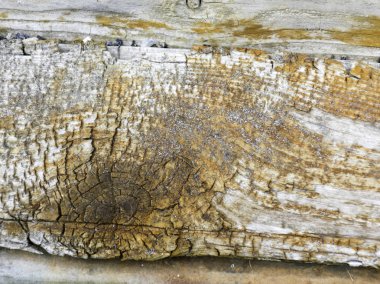 Ahşabın eski soyulmuş renginde soyut bir resim