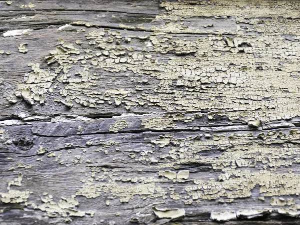 Abstract Picture Old Peeling Color Wood — Stock Photo, Image