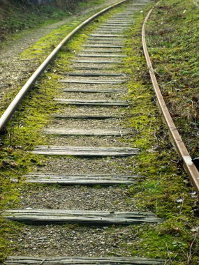 Eski demiryolu raylarıyla manzara, raylarda çimenler...