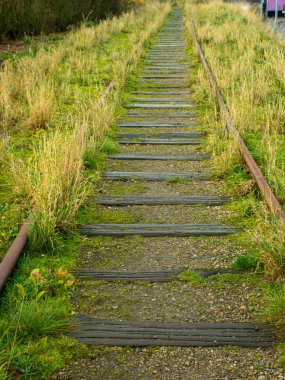 Eski demiryolu raylarıyla manzara, raylarda çimenler...