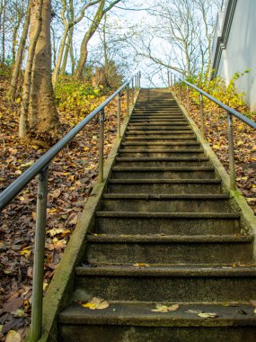  Yukarı çıkan merdivenler, sonbahar yaprakları...