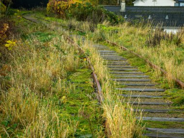 Eski demiryolu raylarıyla manzara, raylarda çimenler...