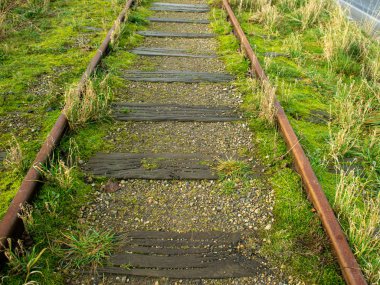 Eski demiryolu raylarıyla manzara, raylarda çimenler...