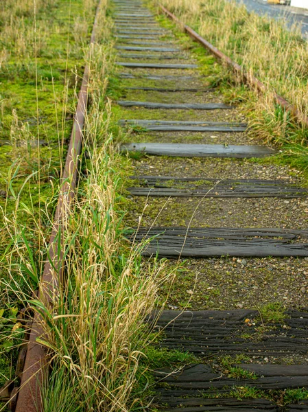 Landschaft Mit Alten Bahngleisen Gras Auf Den Gleisen — Stockfoto