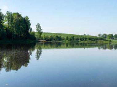 Sahilde yeşil ağaçlar ve göl olan güzel bir yaz manzarası. Sakin su ve yansımalar
