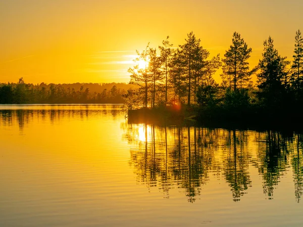Bataklık gölü ve ağaç siluetleri olan manzara, ön planda bulanık bir parıltı. gün batımı