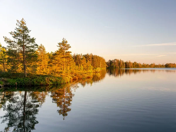 Landschap Met Moerasmeer Boomsilhouetten Een Wazige Schittering Voorgrond Zonsondergang — Stockfoto